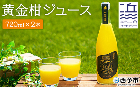 ＜黄金柑ジュース 720ｍ×2本セット＞ 果汁100％ ストレート ジュース おうごんかん 柑橘 ミカン 蜜柑 みかん オレンジ 果物 フルーツ 飲料 無添加 ギフト 贈り物 特産品 二ノ宮商事株式会社 愛媛県 西予市【常温】『2025年4月中旬から順次出荷予定』ANS0006