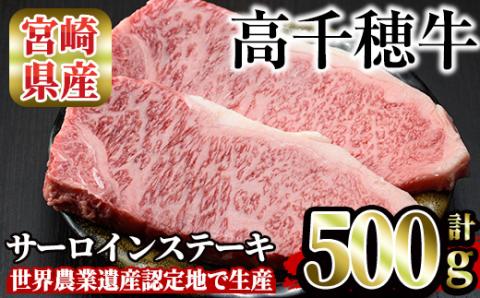 高千穂牛 サーロインステーキ(250g×2枚)国産 宮崎県産 宮崎牛 牛肉 ステーキ サーロイン 霜降り A4 和牛 ブランド牛【MT013】【JAみやざき 高千穂牛ミートセンター】