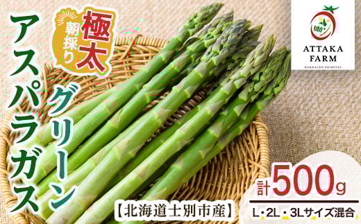 
                  【A7083】＜特別栽培・期間限定＞北海道士別市産 極太グリーンアスパラ (L～3Lサイズ混合・500g) 【2026年5月以降順次発送】野菜 太い 極太 アスパラ アスパラガス グリーンアスパラ 北海道 北海道産 国産 旬 産地直送 【あったかふぁーむ】
                