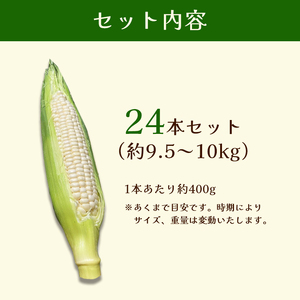 京都府産 極甘ホワイトコーン 24本（約9.5～10kg） とうもろこし トウモロコシ コーン ホイップコーン 季節の野菜 農家直送 旬 旬野菜 国産 野菜 朝採り 産地直送 期間限定 甘い コーン 
