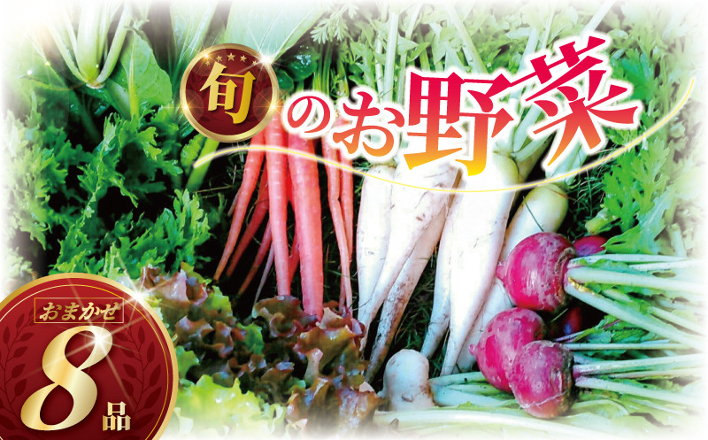 
            訳あり 旬 の 野菜セット 8品 種類おまかせ 旬 野菜 やさい yasai ヤサイ 野菜セット やさいセット 旬の野菜 お野菜 健康 果樹 栽培 自然 春野菜 夏野菜 秋野菜 冬野菜 不揃い おまかせ 訳アリ 訳あり品 わけあり 訳有 ワケアリ 数量限定 農家直送 産地直送 神奈川 湘南 藤沢
          