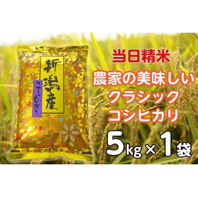 ふるさと納税 阿賀野市 【令和8年産新米】 当日精米! 農家直送 美味しい クラシックコシヒカリ 5kg 精米 白米