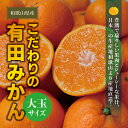 【ふるさと納税】 《 レビューキャンペーン 》 みかん 有田みかん 大玉 3L以上 約7.5kg 10kg 選べる容量 光センサー選別 みかん ミカン 柑橘 果物 くだもの フルーツ 人気 旬 甘い 農家直送 有機質肥料100% ※2024年12月初旬〜1月中旬に順次発送(お届け日指定不可)