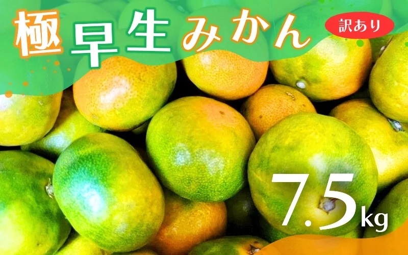 
                  【訳あり・ご家庭用】こだわりの極早生みかん 約7.5kg 【2026年10月上旬～11月上旬発送予定（お届け日指定不可）】 有機質肥料100% サイズ混合  有田産【CE-nuk166B】
                