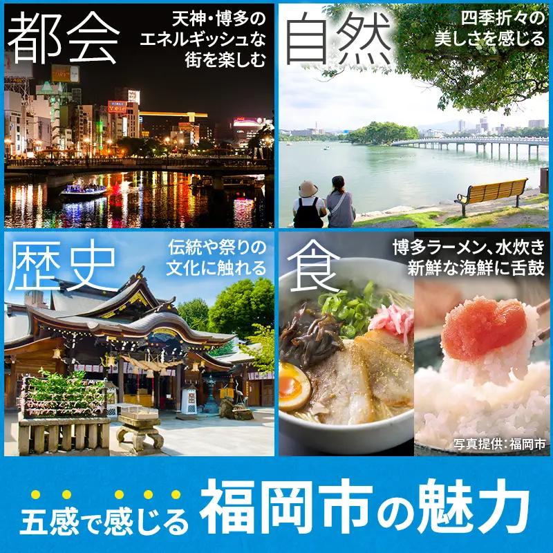 旅行 福岡 日本旅行 地域限定 旅行クーポン 300,000円分 福岡県 福岡市 施設利用券 利用券 トラベル クーポン 旅行券 宿泊券 宿泊 チケット ホテル 旅館 観光 国内旅行 出張 予約