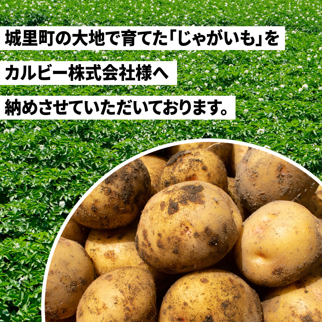 ポテトチップス 堅あげポテト うすしお味 カルビー 65g×12袋  (BG030)