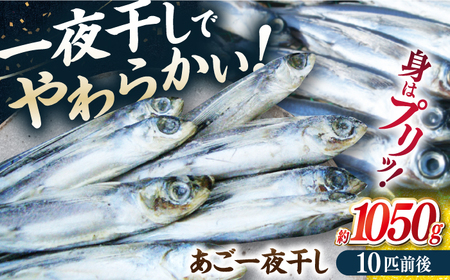 【口に広がる豊かな風味】あご一夜干し 約1050g（10匹前後）平戸市 / 森崎水産[KAD307]