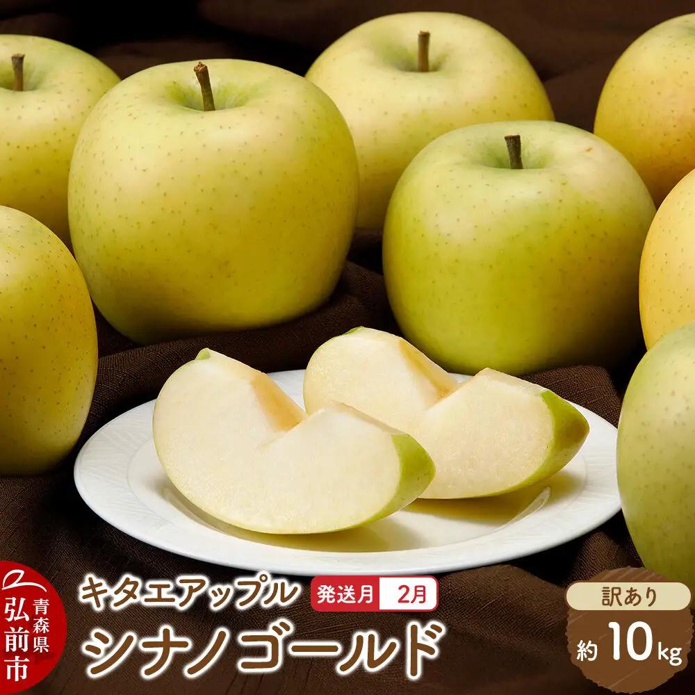 【27年2月発送】りんご シナノゴールド【訳あり】約10kg キタエアップル 先行受付 家庭用 青森県 弘前市 果物 フルーツ 林檎 リンゴ くだもの 不揃い 規格外 青森県 弘前市