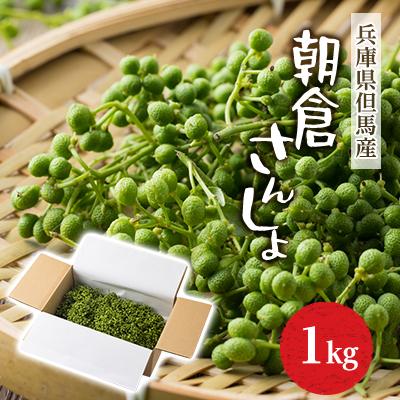 ふるさと納税 養父市 2027年先行予約 5月下旬〜発送 朝倉さんしょ 1kg 生 実山椒 クール便 冷蔵 兵庫県産 直送