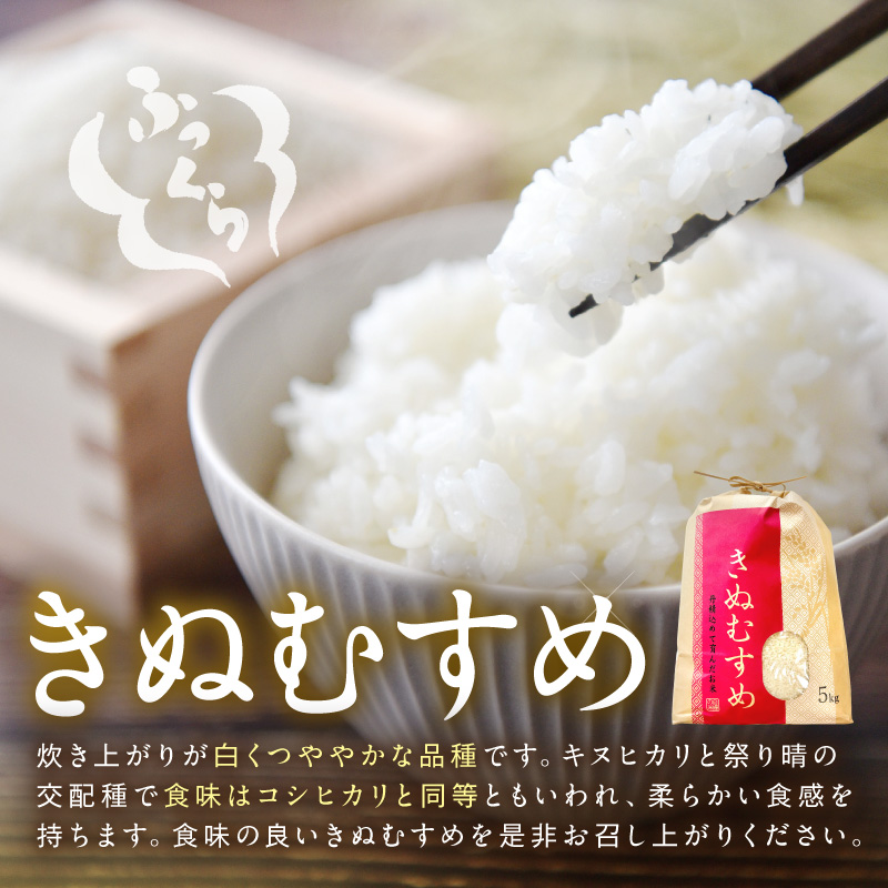 【1186】令和7年産　和歌山県産　「きぬむすめ」精米10㎏
