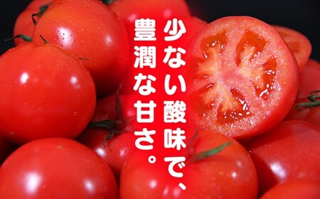 大玉 訳あり ソムリエトマト 約 6kg ～ 10kg (約3kg～5kg × 2箱)