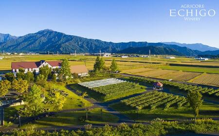 ドメーヌECHIGO　赤ワイン２本セット【カーボン・オフセット対象】