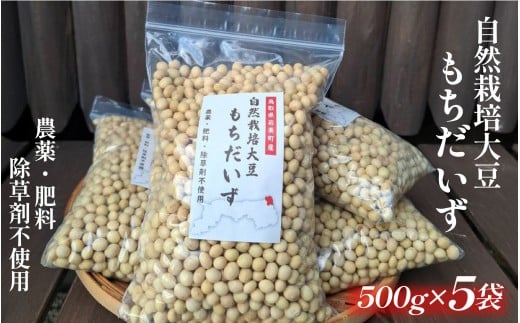 自然栽培大豆 もち大豆 500g×5個｜鳥取 岩美町産 大豆 無農薬 乾燥大豆【32006】