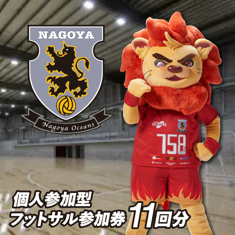 【ふるさと納税】名古屋オーシャンズ 個人参加型フットサル 参加券【11回分】個サル オーシャンズフィールド チケット フットサル スポーツ レジャー 参加チケット 運動系 体験チケット futsal 送料無料