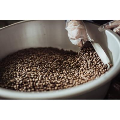 ふるさと納税 守口市 ゴールド珈琲のブレンドコーヒー2kg(豆) |  | 02