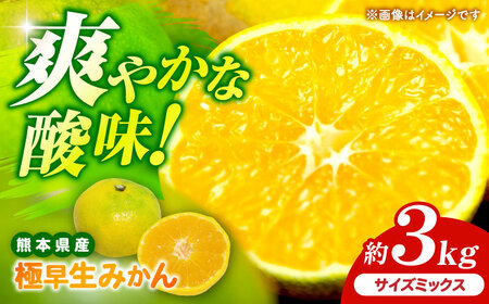 【先行予約】 極早生みかん 2S-2L 約3kg みかん 蜜柑 柑橘 フルーツ 果物 【日本フルーツ株式会社】[ZFJ053]