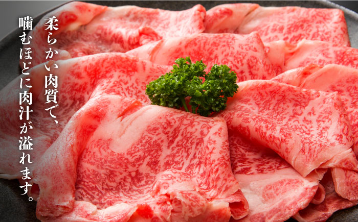 【全12回定期便】【厳選部位使用！】博多和牛しゃぶしゃぶ・すき焼き用500g《築上町》【株式会社MEAT PLUS】 [ABBP041] 182000円 18万2千円