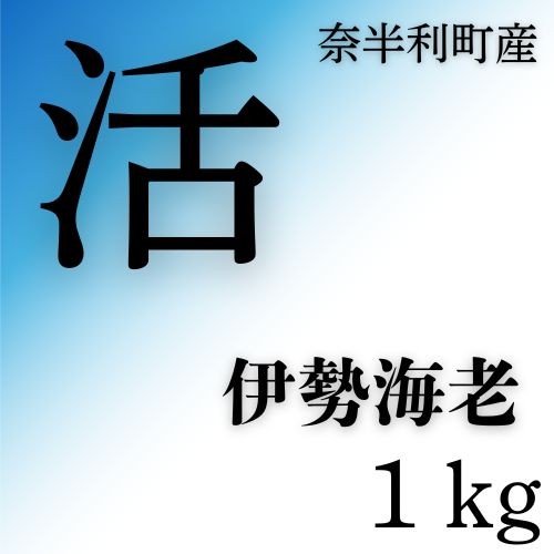 
                  133004　活　伊勢海老(1kg)
                