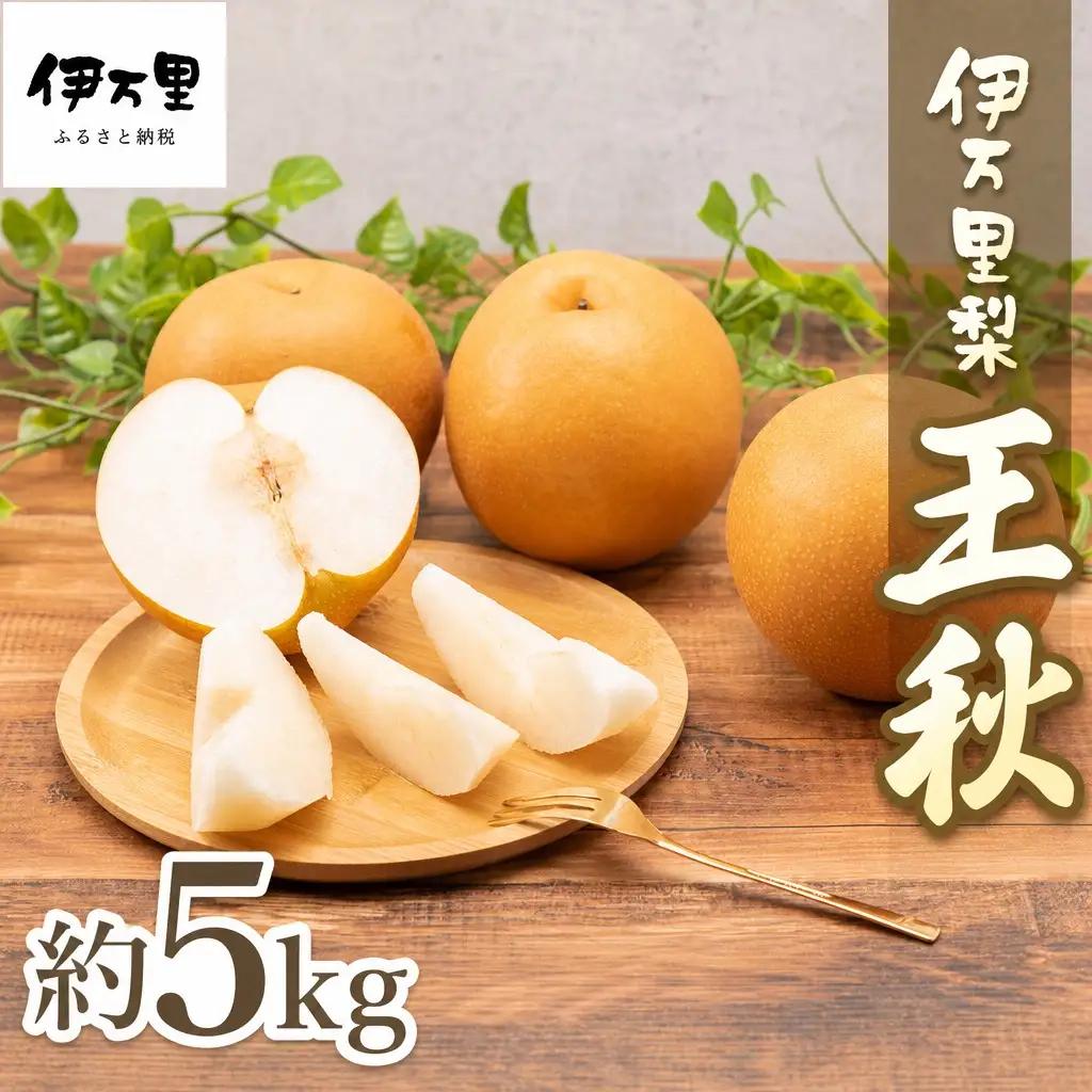 伊万里梨「王秋」約5kg