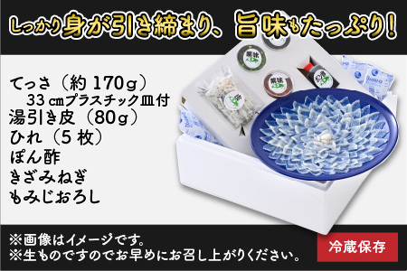 【先行予約】【着日指定】 【冷蔵でお届け】 若狭ふぐ てっさ セット 4人前【2024年9月より順次発送】 [C-005003] 