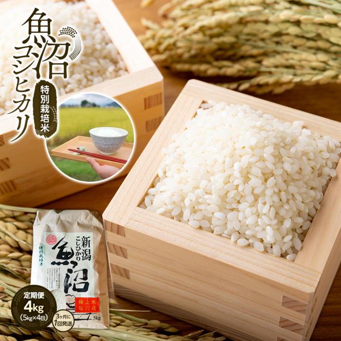 【ふるさと納税】【令和7年産】定期便4回！！魚沼コシヒカリ特別栽培米5kg×4回（3カ月に1回発送） | お米 こめ 白米 コシヒカリ 食品 人気 おすすめ 送料無料 魚沼 南魚沼 南魚沼市 新潟県産 新潟県