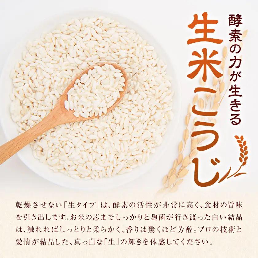 生タイプ 米糀 2kg さつま糀商店 