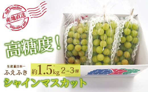 
            ＜25年発送先行予約＞厳選！山梨県笛吹市産 シャインマスカット 約1.5kg(2～3房) 156-006
          