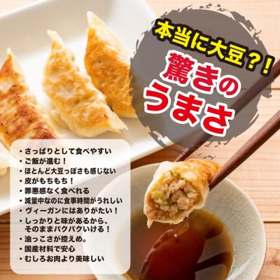 ふるさと納税 静岡市 大豆パワー ソイプロギョーザ(30個入×2袋) |  | 02