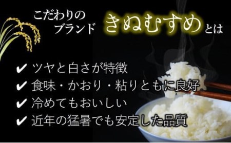 令和５年産 きぬむすめ　白米10kg（10kg×1袋）【５営業日以内に発送】(10-72)