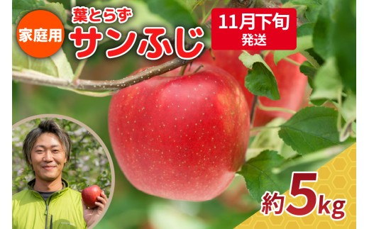【2026年11月下旬発送】りんご 5kg 程度 葉とらず サンふじ 11月 12月 家庭用 青森産 りんご ふじ 【 サンふじりんご 葉とらずりんご リンゴジュースやお菓子作りにも くだものフルーツ果物林檎約5kg 】