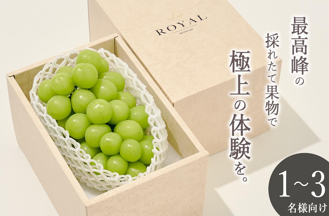 
            ＜2025年発送分先行予約＞南アルプス市産 大粒シャインマスカット 1房入り 約700g ALPAL006
          