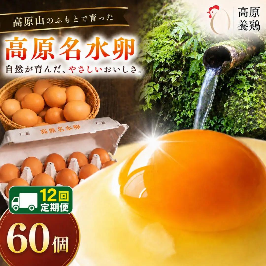 【定期便12回】高原名水 卵 60個｜豊かな自然で育ったアスタキサンチン含有の高原名水卵【感動の甘さと濃さ】栃木県 矢板市