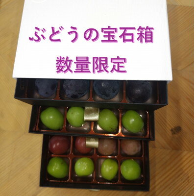 【ふるさと納税】【2026年先行予約】ぶどうが光り輝く宝石に!!牧丘天空の丘ブランドぶどうの宝石箱 約700g【配送不可地域：離島】【1705539】
