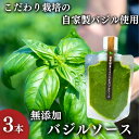 【ふるさと納税】温室野菜 sano 生バジルソース3本セット　【加工食品・加工食品・ソース】