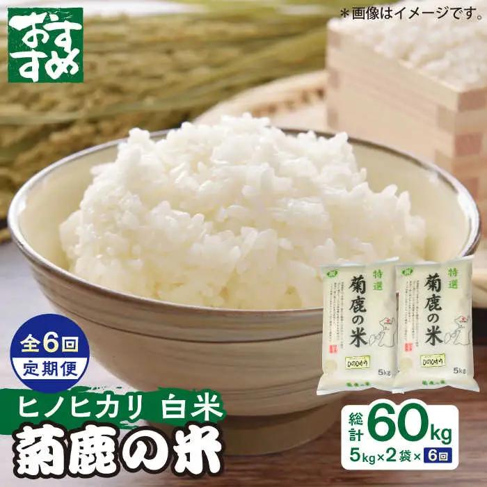 令和8年度産米【6回定期便】菊鹿の米 ヒノヒカリ 白米 5kg×2袋【有限会社 あそしな米穀】[ZBI022]