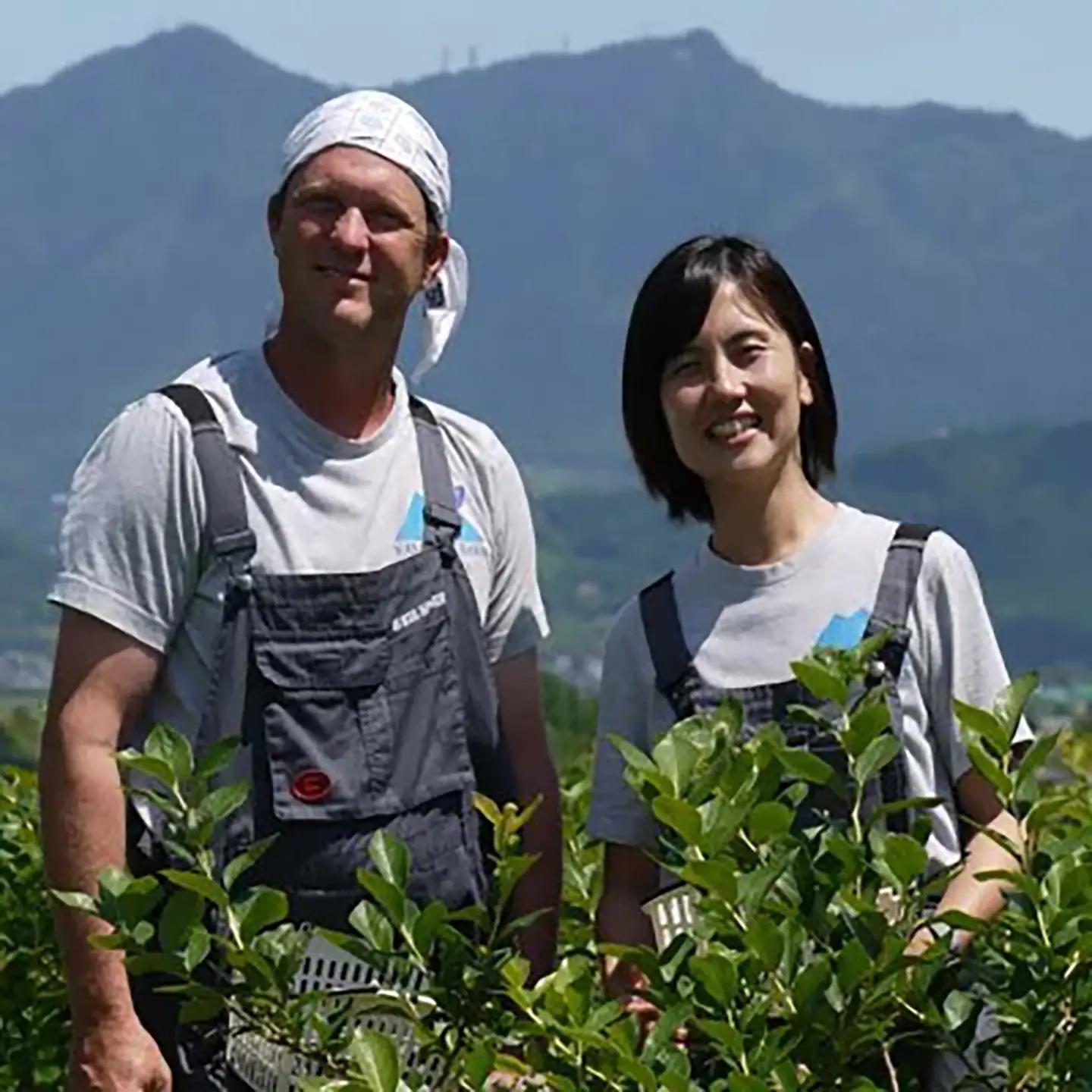 フローズンヨーグルトアイス 12個 アイス