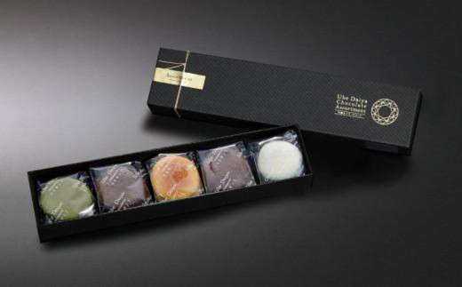チョコレート 菓子 宇部ダイヤ・アソート ５個入り【チョコ チョコレート 生チョコ 生チョコレート 濃厚 菓子 洋菓子 スイーツ お土産 手土産 贈り物 ギフト プレゼント おしゃれ オシャレ お洒落 上品 お洒落 焼き菓子 】
