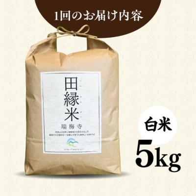 ふるさと納税 糸島市 【全6回定期便】 田縁米(でんえんまい)・瑞梅寺(ずいばいじ) 白米 5kg 米 [ATM007] |  | 02