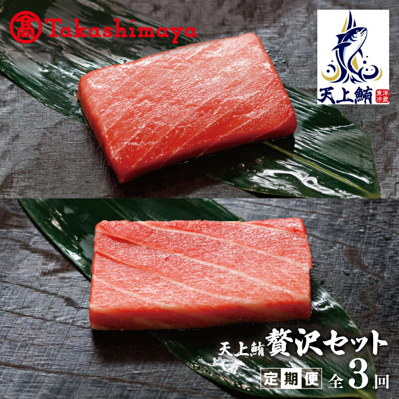 【ふるさと納税】【高島屋選定品】天上鮪 大トロ 贅沢セット 定期便 3回【毎月配送コース】マグロ 魚 海鮮 おつまみ 刺身 東洋冷蔵 お取り寄せ お取り寄せグルメ 大阪府 泉佐野市 送料無料