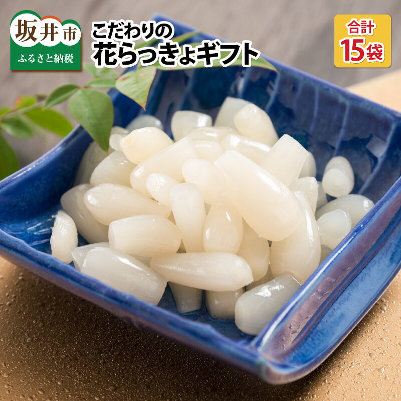 【ふるさと納税】 甘酢漬三年子花らっきょ 80g × 15袋 福井特産 らっきょう 甘酢 漬け 国産 漬け物 漬物 ラッキョウ 野菜 辣韭 おつまみ ギフト 贈り物