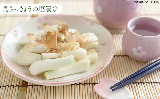 【産地直送】南国フーズの島らっきょう約5kg - 国産 生らっきょう 甘酢漬け 漬物 天ぷら チャンプルー おすすめ 送料無料 沖縄県 八重瀬町産