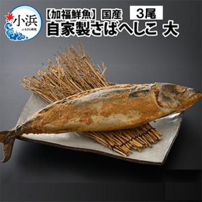 ふるさと納税 小浜市 【加福鮮魚】自家製さばへしこ大3尾(1尾約700g)