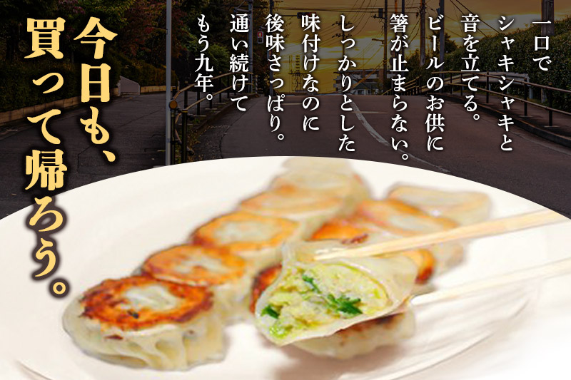 こだわりの手作り 餃子・焼売セット 6種(計58個)【国産食材使用 冷凍餃子 冷凍惣菜 お取り寄せグルメ 晩ごはん おつまみ お弁当に便利】