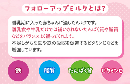 粉ミルク　雪印メグミルク　たっち(スティック)1ケース(12箱入)/フォローアップ用