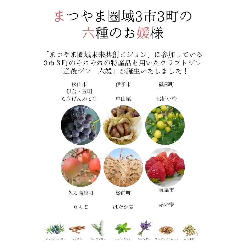 道後ジン 六媛 クラフトジン スピリッツ 愛媛県産 ボタニカル 200ml｜B01