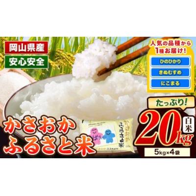 ふるさと納税 笠岡市 【令和8年5月発送】令和7年産 備中笠岡ふるさと米20kg
