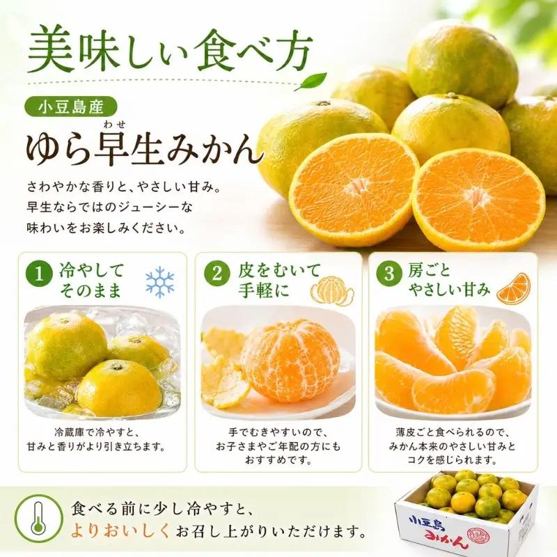 みかん 柑橘 ゆら早生 小豆島産 みかん【約5kg】