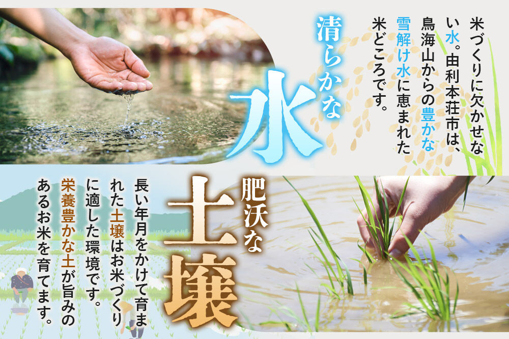 《令和8年産 新米受付》【白米】極上秋田銘柄米 あきたこまち 10kg（5kg×2袋） [新米受付 米 お米 こめ 白米 精米 あきたこまち ブランド米 銘柄米 秋田県産]
