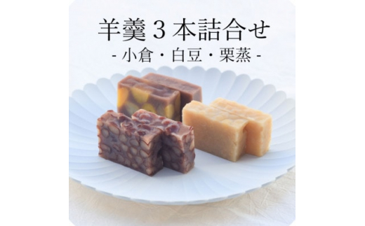 
皇室献上菓子舗 特製 贅沢蒸羊羹3本セット【1285985】
