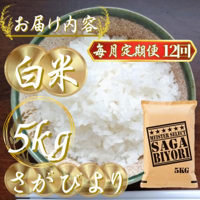 ふるさと納税 吉野ヶ里町 【毎月定期便】『さがびより白米5kg』五つ星お米マイスター厳選!(吉野ヶ里町)全12回 |  | 02